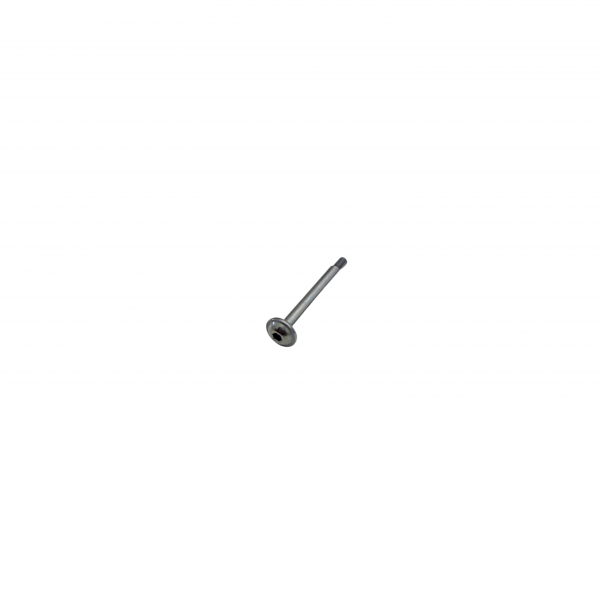 SILENCE S01 Schraube M3x36